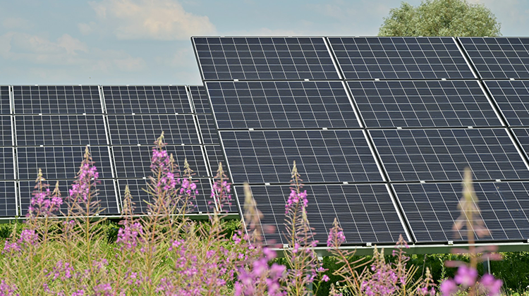 碳捕捉、利用及封存關鍵字專利地圖